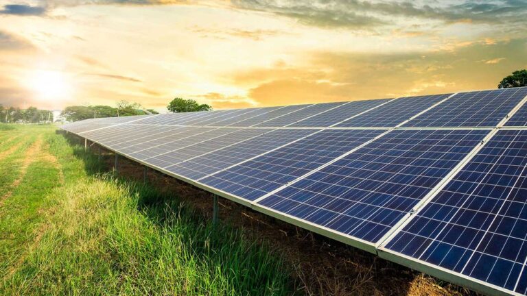 Pakistan Becomes World's Sixth Largest Solar Market: WEF Report

