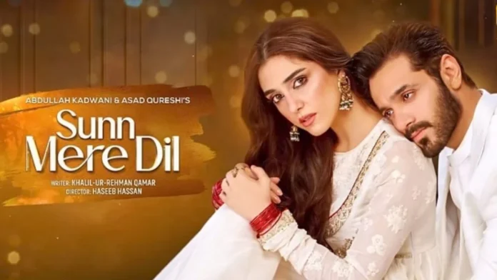 Sunn Mere Dil faces backlash for its dialogue '8 Crore'